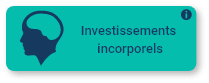 Bloc investissement incorporels